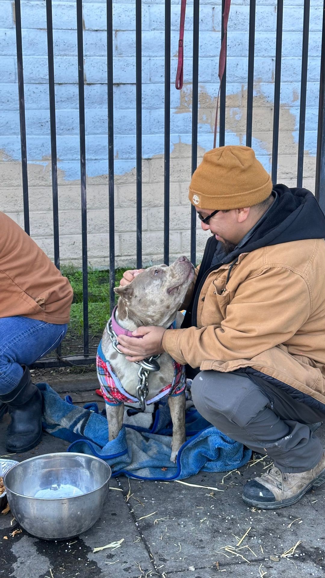 Volunteer Opportunities for Animal Lovers